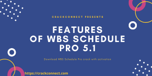 WBS Schedule Pro 5.1.0024 Crack Torrent + Keygen (2020)