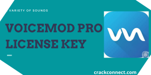 Voicemod Pro 1.2.6.8 License Key + Cracked Download (2020)