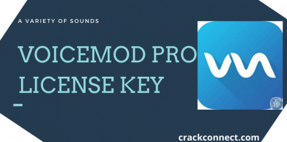 license key for voicemod pro