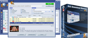 Ant Download Manager Crack & License Key Free Download